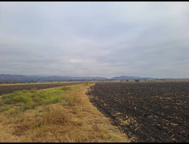 10.30HA FARM FOR SALE IN WATERKLOOF AH